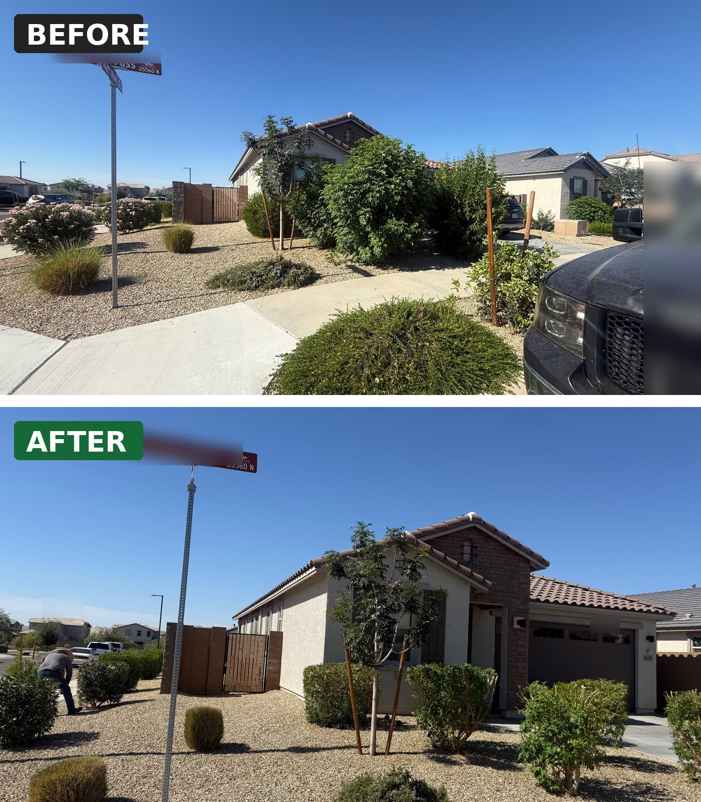 House Yard Cleanup — after